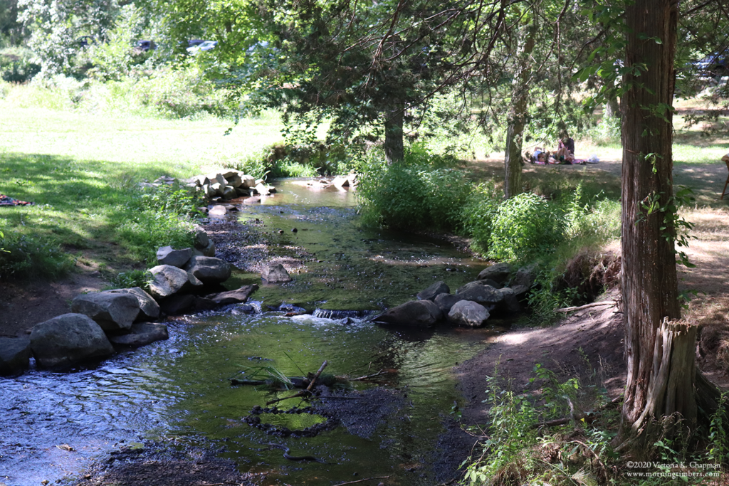 A flowing brook by a meadow with people enjoying a picnic lunch. Photo by Victoria K. Chapman.